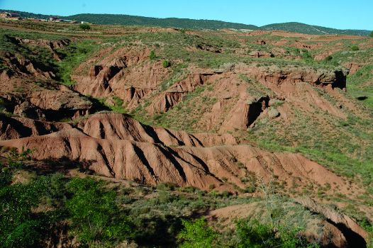 Cárcavas en terreno arcilloso al pie de Valdecebro